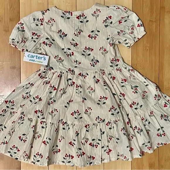 NWT-Carters , Toddler girl Dresses 3T - Picture 6 of 9